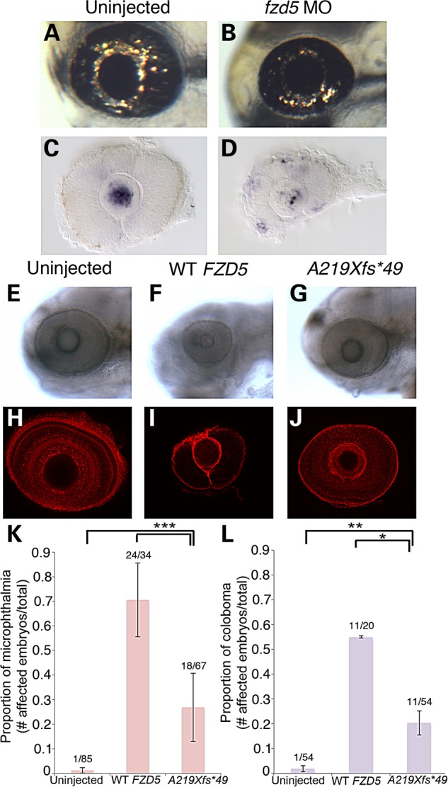 Figure 2.