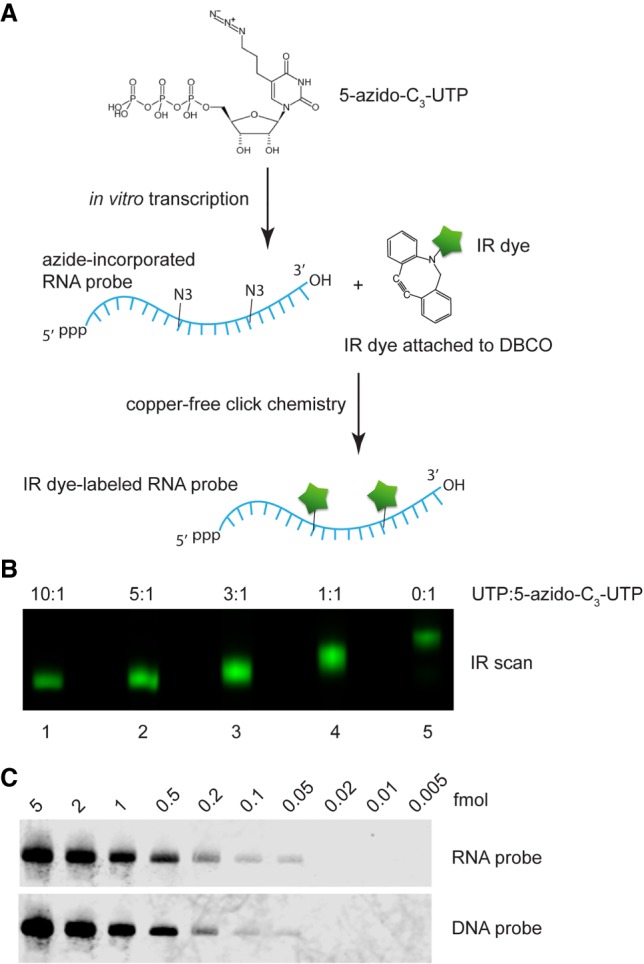 FIGURE 4.