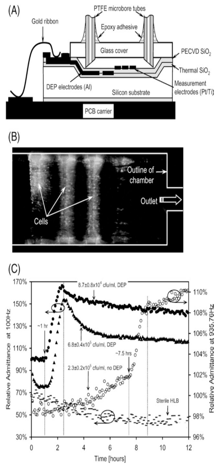 Figure 10