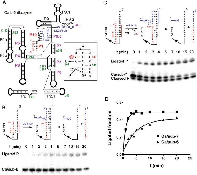 Figure 1.