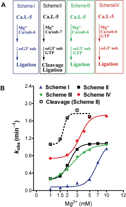 Figure 2.