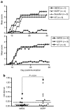 <b>Figure 2</b>