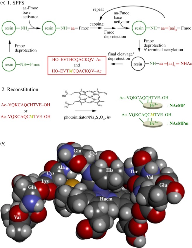 Figure 1.