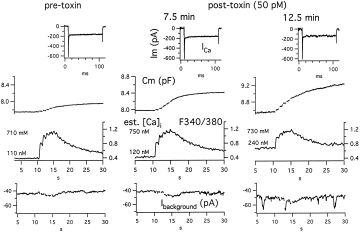 Fig. 8.