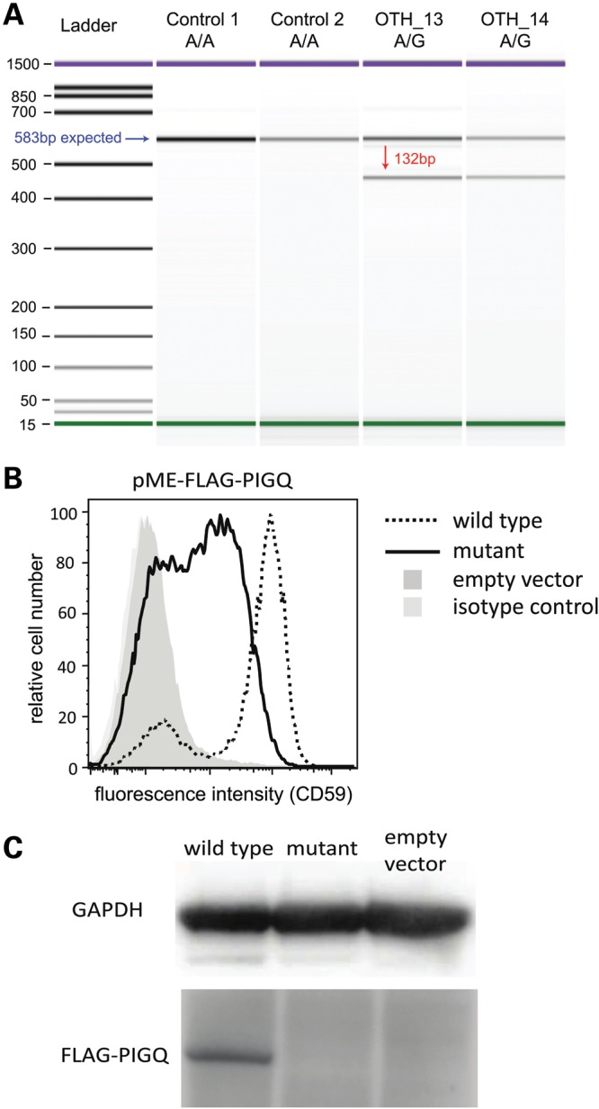 Figure 3.