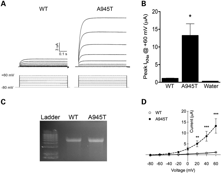 Figure 2.