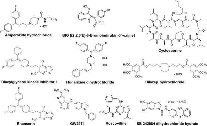 FIG 6