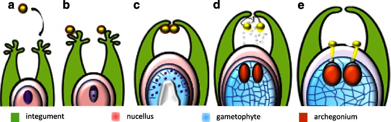 Fig. 1