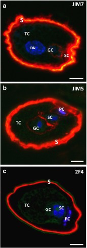 Fig. 3