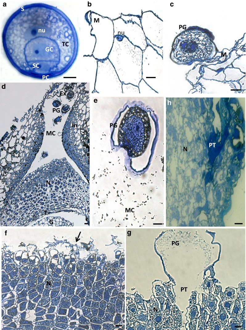 Fig. 2