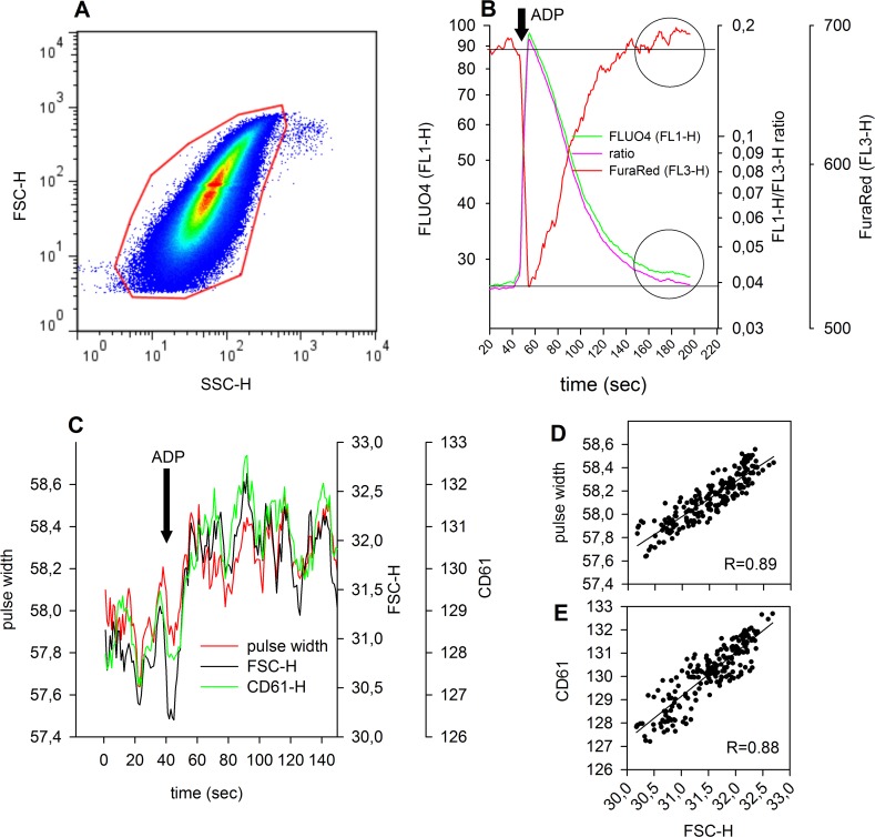 Fig 3