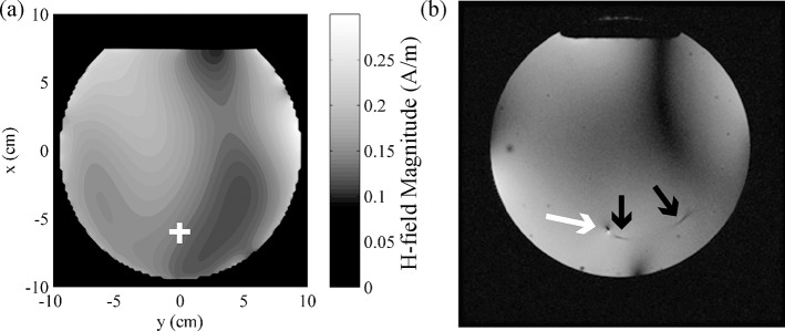 Fig 10