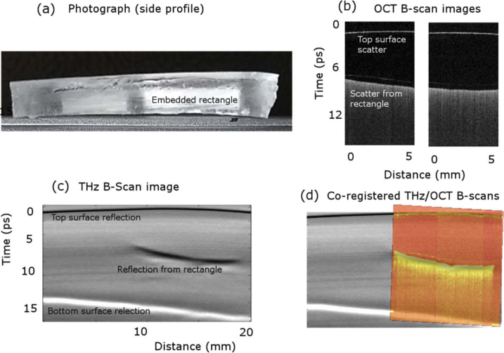 Fig. 6.