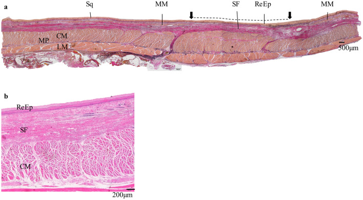 Fig. 3