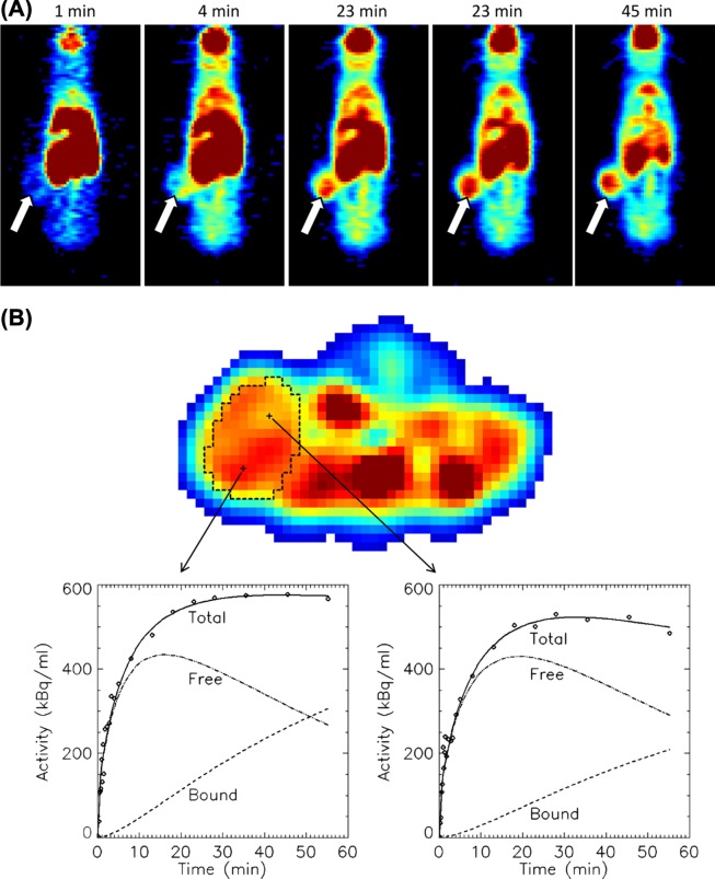 Figure 3.