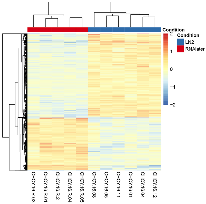 Figure 2: