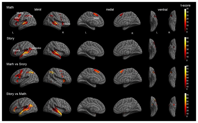 FIGURE 3