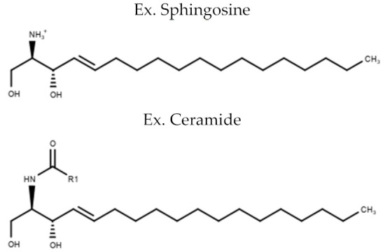 graphic file with name metabolites-10-00254-i004.jpg