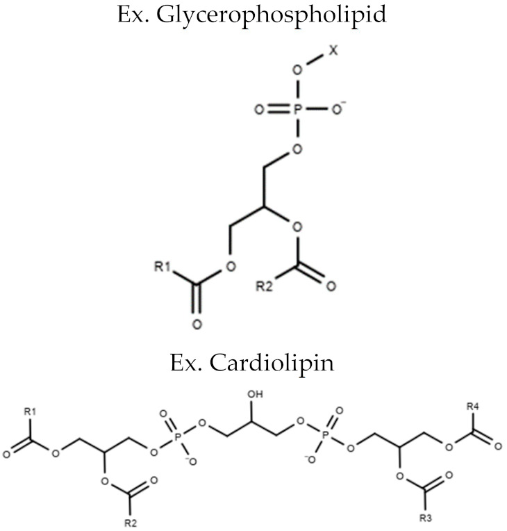 graphic file with name metabolites-10-00254-i003.jpg