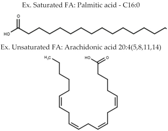 graphic file with name metabolites-10-00254-i001.jpg