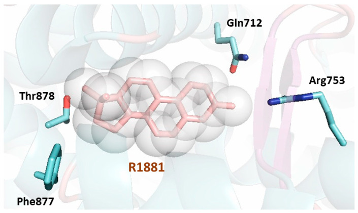 Figure 5