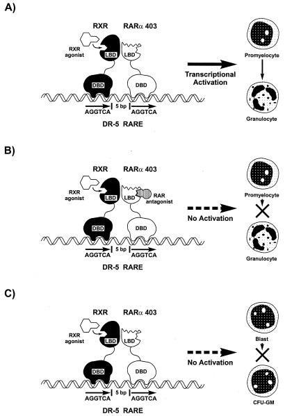 FIG. 9