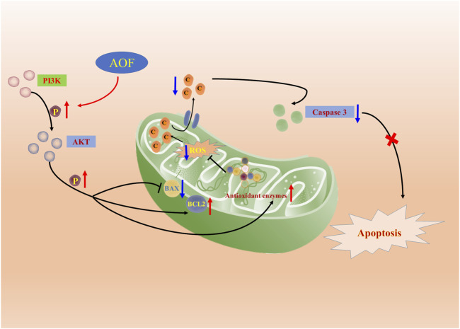 FIGURE 14