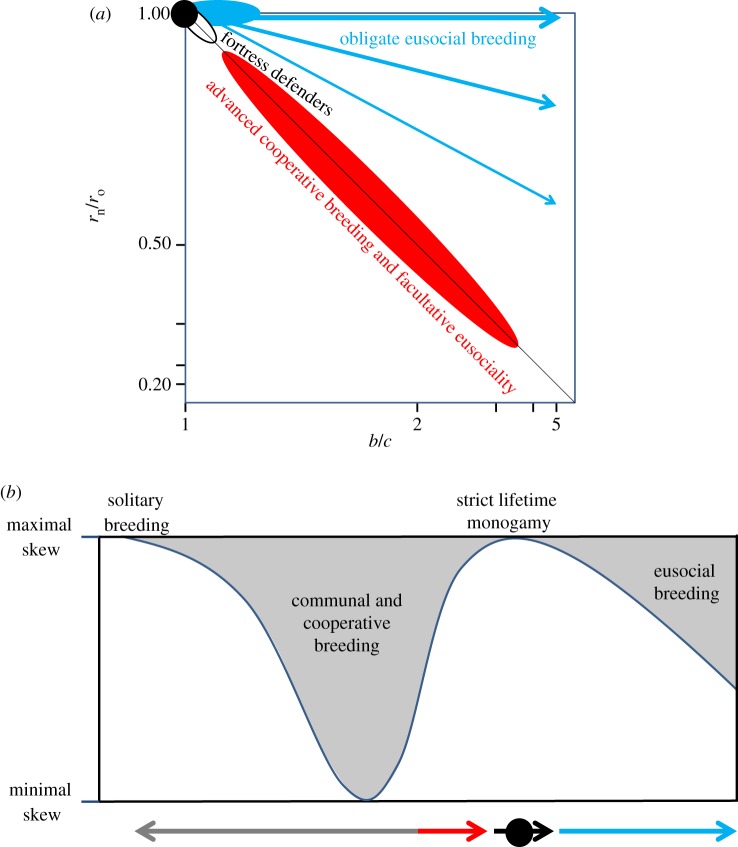 Figure 5.