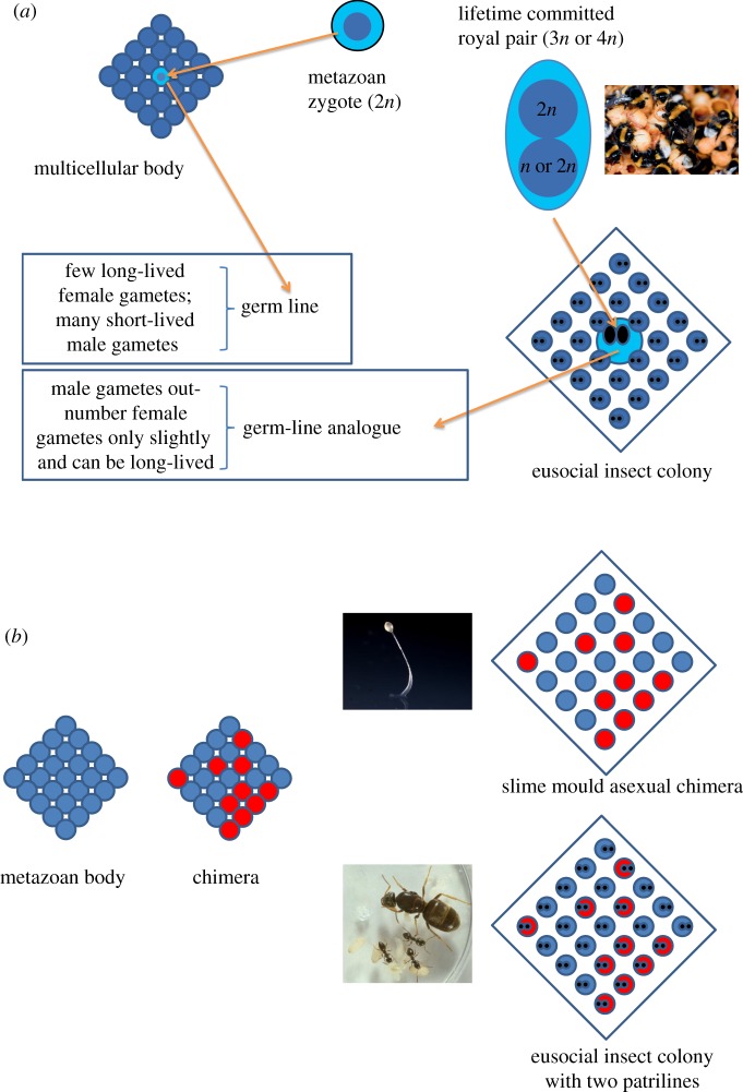 Figure 1.