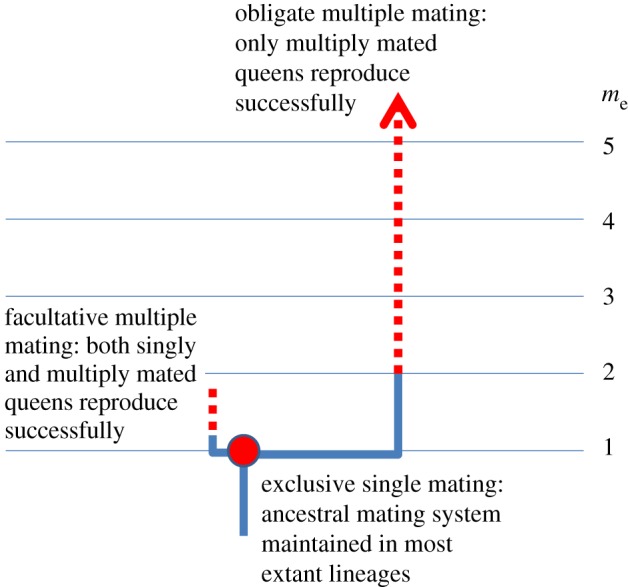 Figure 2.