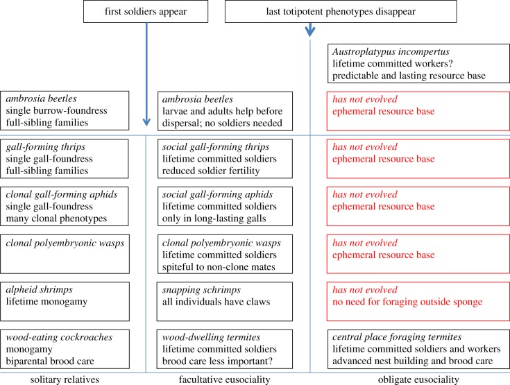 Figure 4.