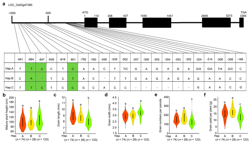 Extended Data Figure 8