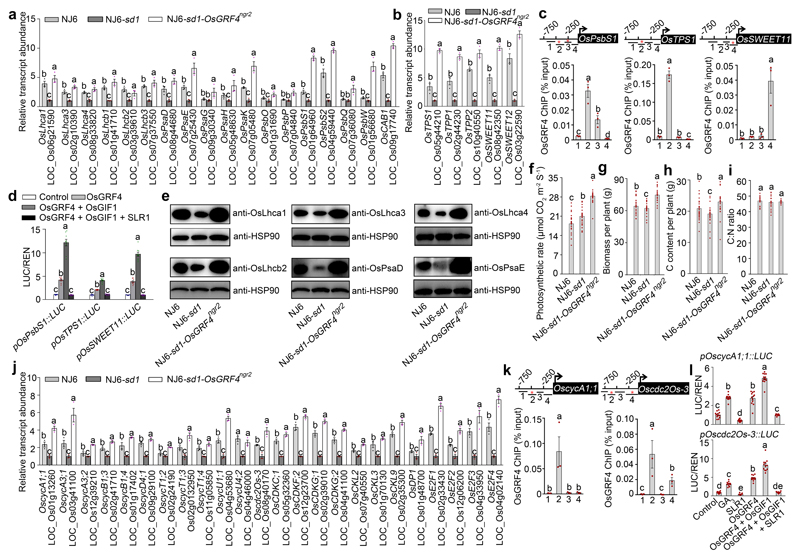 Extended Data Figure 7