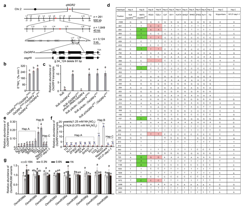 Extended Data Figure 1