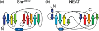 Figure 7.