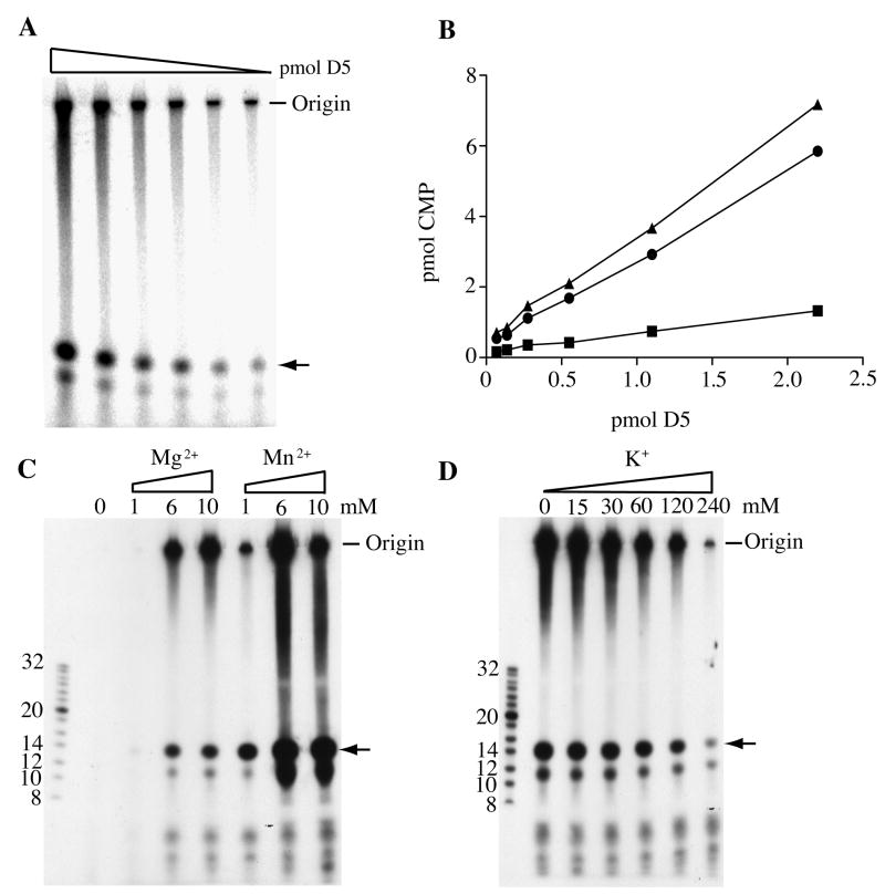 Fig.1