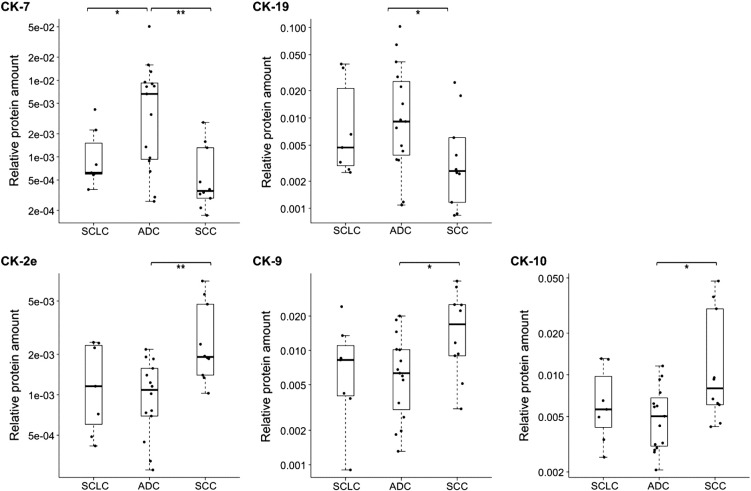 Figure 6