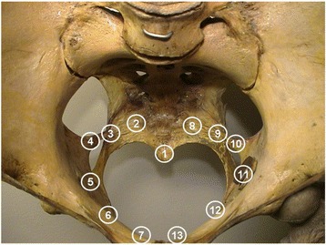 Fig. 2