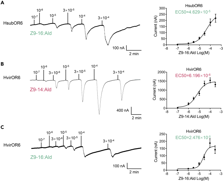 Figure 3