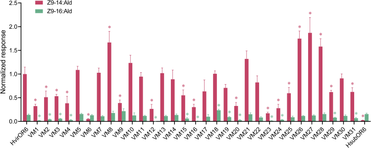 Figure 6