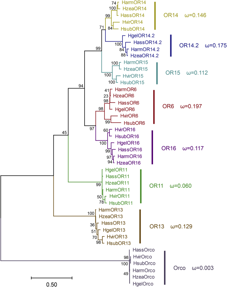 Figure 1