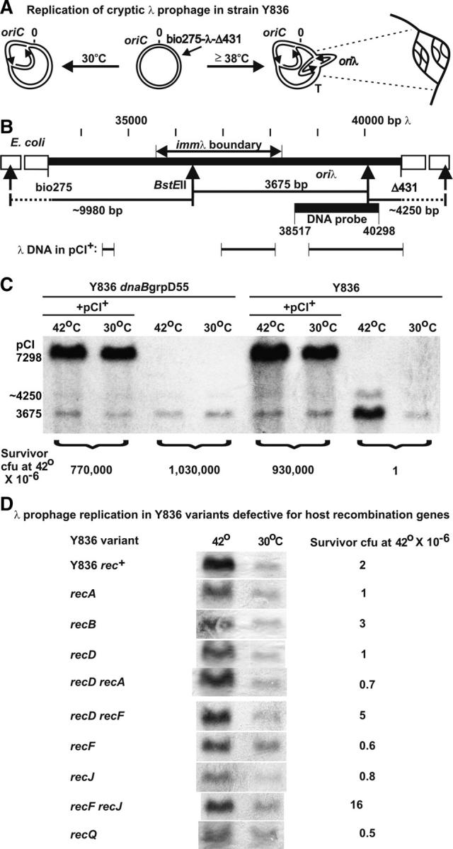 Figure 2.—