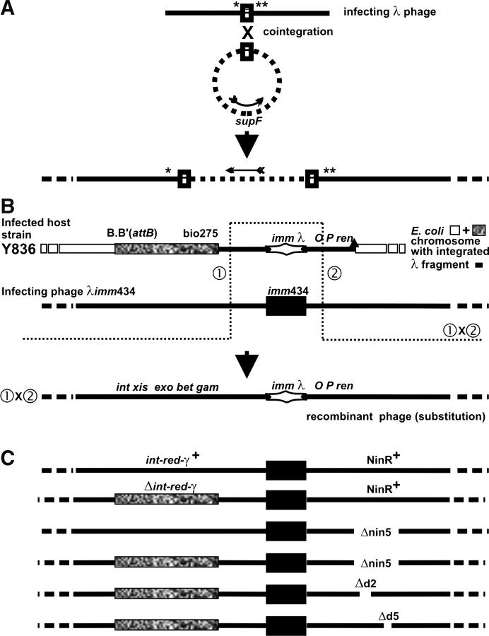 Figure 1.—