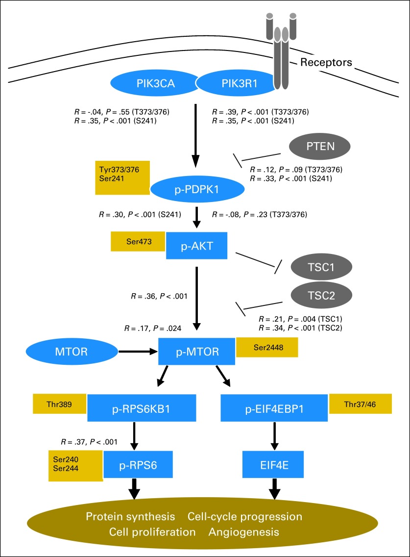 Fig 2.