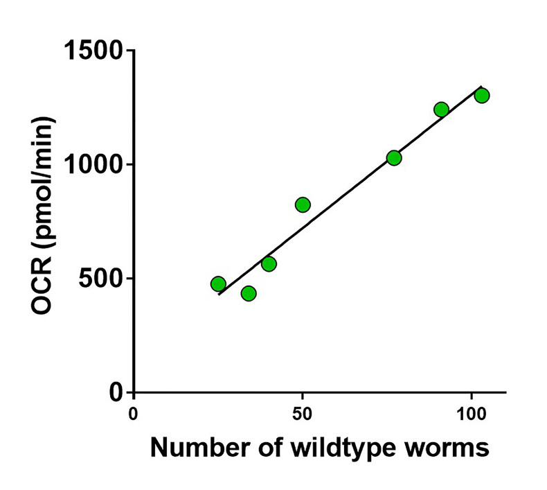 Figure 7.