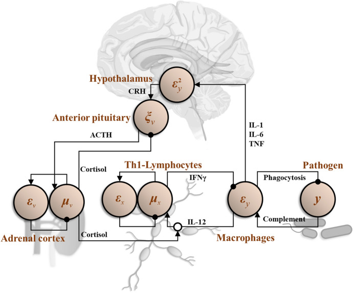 Fig. 2