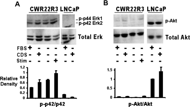 Figure 2-6930