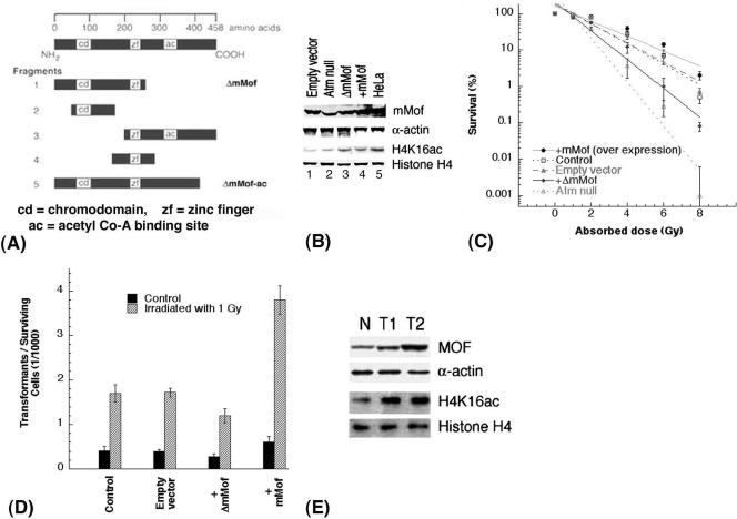 FIG. 7.