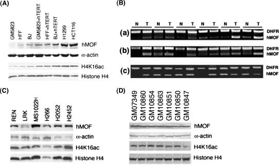 FIG. 8.