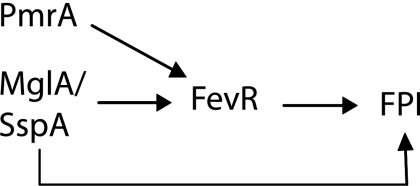 FIG. 7.